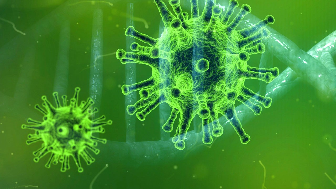 Фото: Вирус штамм "Дельта Плюс" имеет тяжелые признаки протекания болезни на коронавирус.